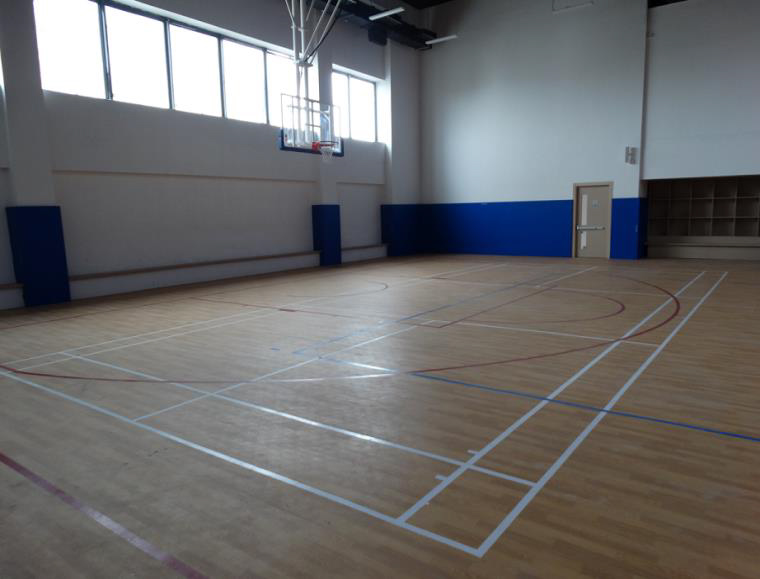 Indoor sports hall at Oberoi International School — court view